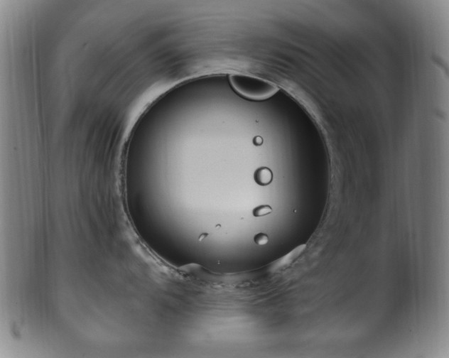 X0000100351104200806061108