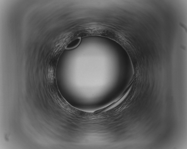 X0000100351108200806061108