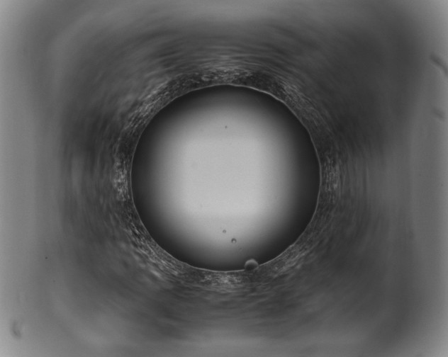 X0000100351109200806061108