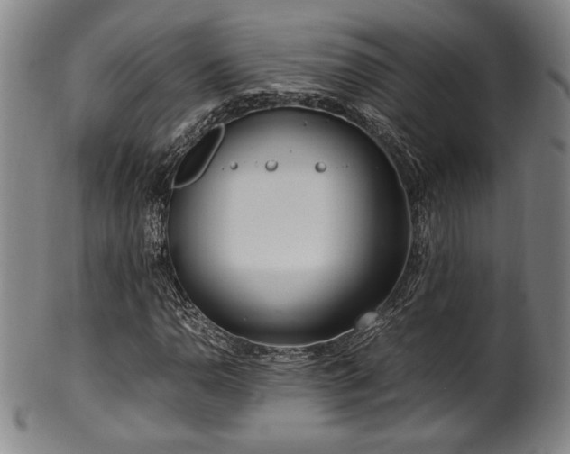 X0000100351110200806061108