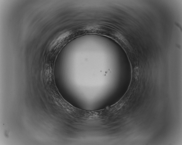 X0000100351111200806061108