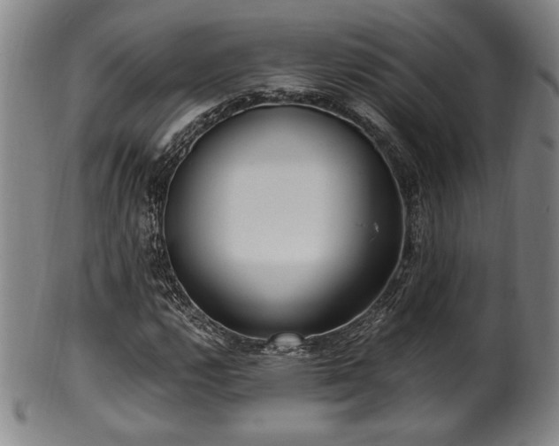 X0000100351112200806061108