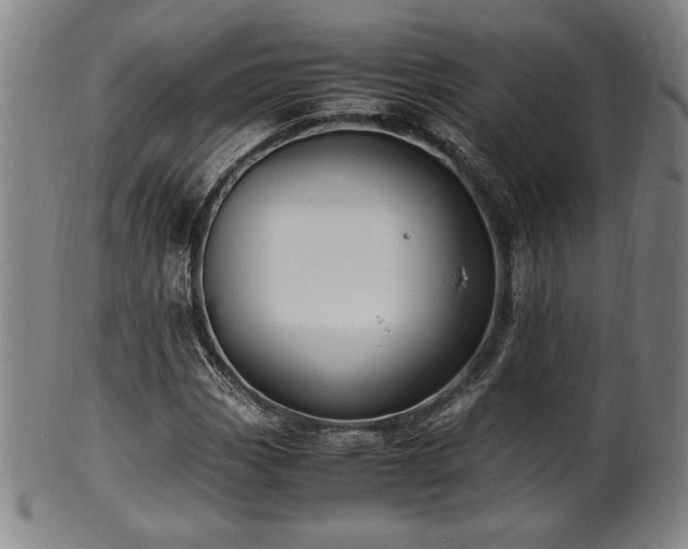 X0000100351113200806061108