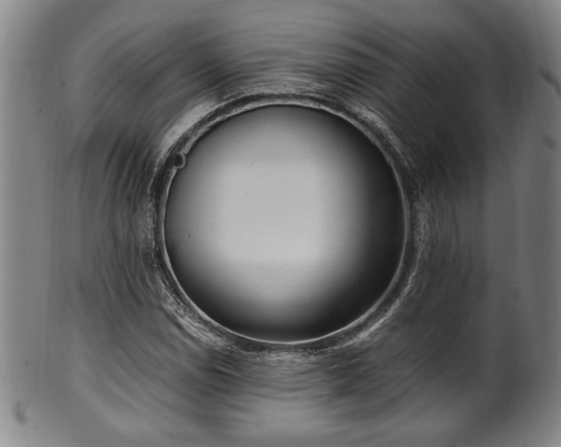 X0000100351114200806061108
