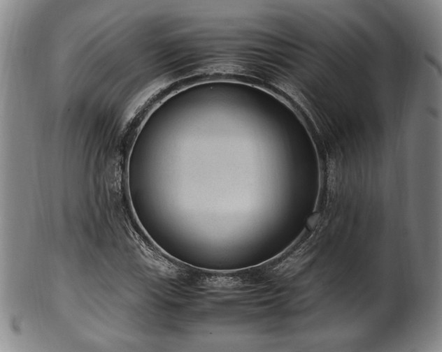 X0000100351115200806061108