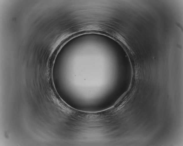 X0000100351116200806061108