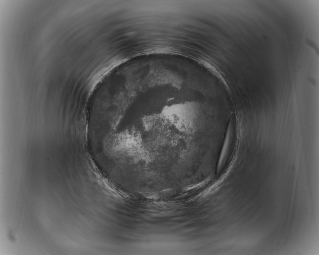 X0000100351117200806061108
