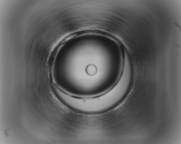 X0000100351118200806061108