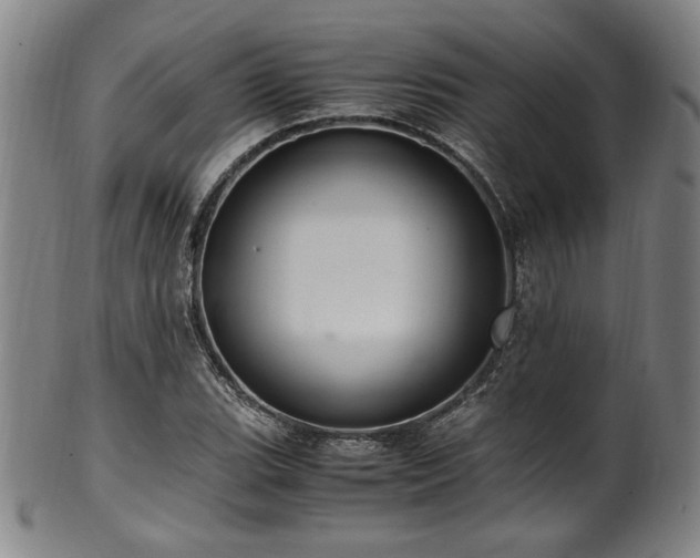X0000100351119200806061108