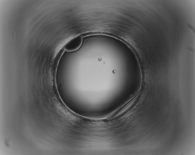 X0000100351120200806061108