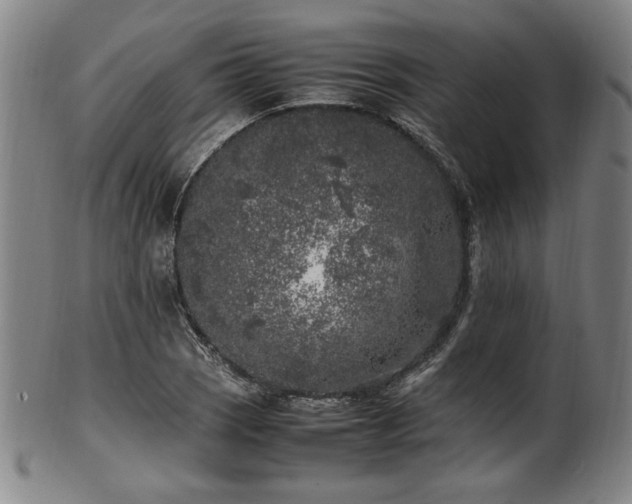 X0000100351121200806061108