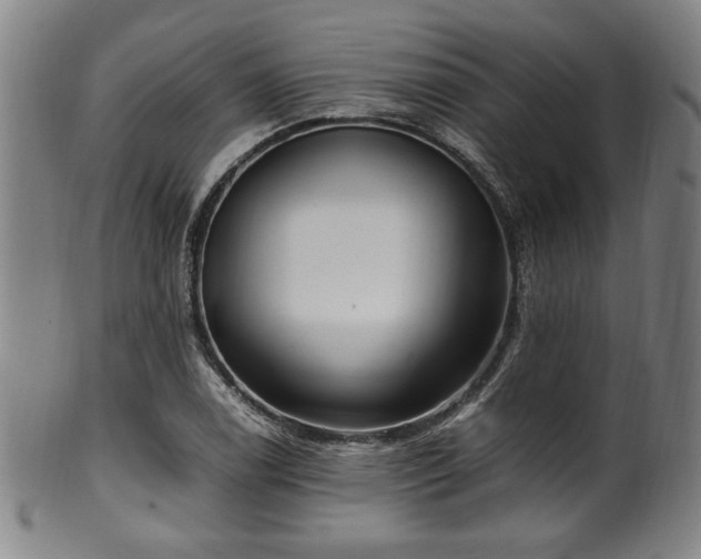 X0000100351122200806061108