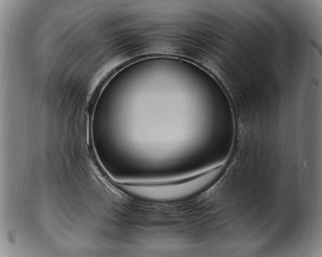 X0000100351123200806061108