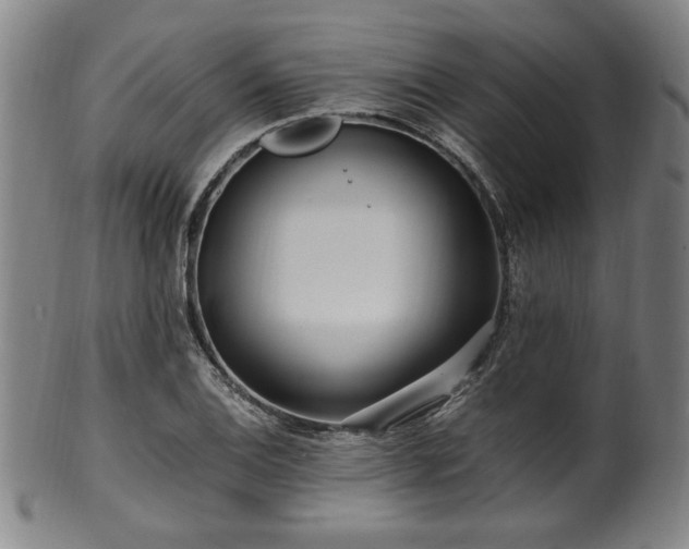 X0000100351124200806061108