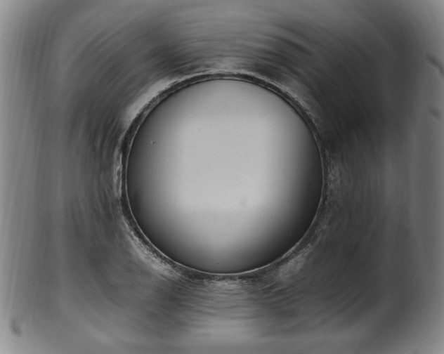 X0000100351126200806061108