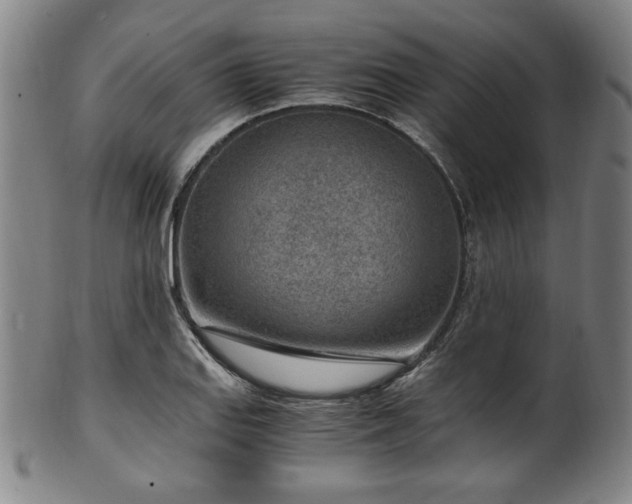 X0000100351127200806061108