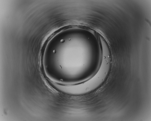 X0000100351128200806061108