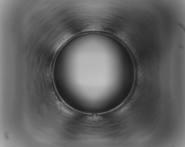X0000100351129200806061108