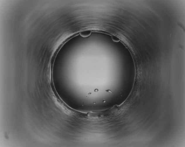 X0000100351132200806061108