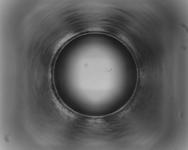 X0000100351133200806061108