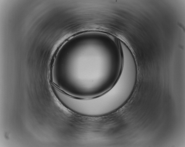 X0000100351136200806061108