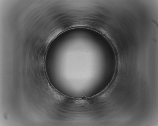 X0000100351137200806061108
