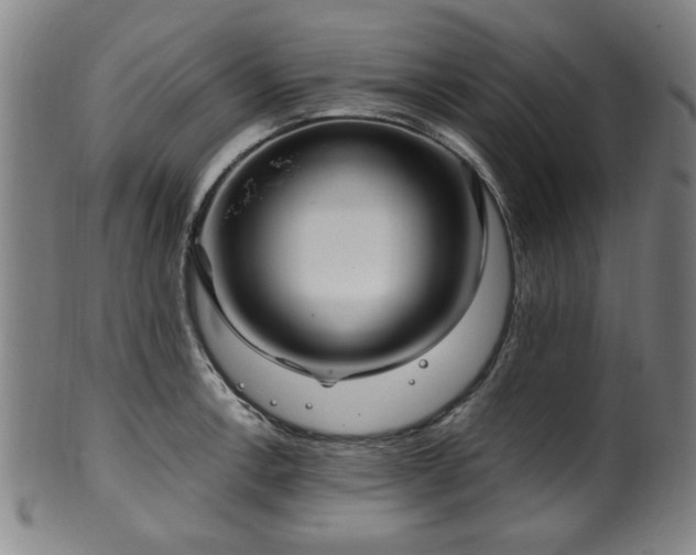 X0000100351138200806061108