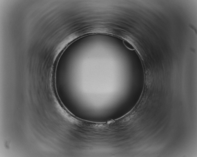 X0000100351139200806061108