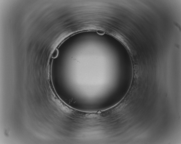 X0000100351140200806061108