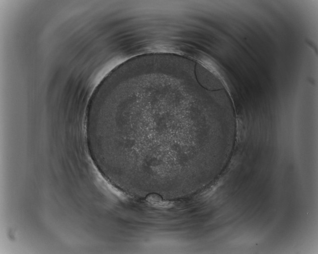 X0000100351141200806061108