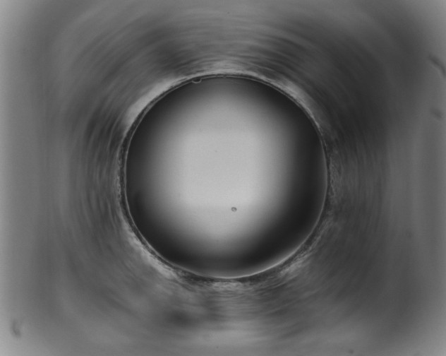 X0000100351142200806061108