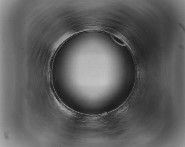 X0000100351143200806061108