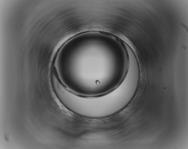 X0000100351144200806061108