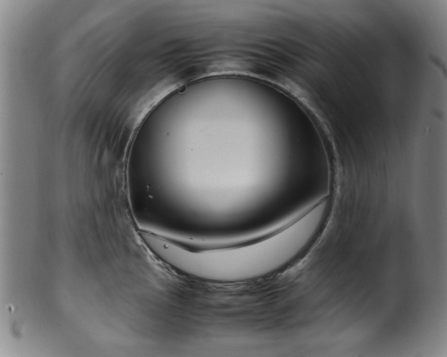 X0000100351145200806061108