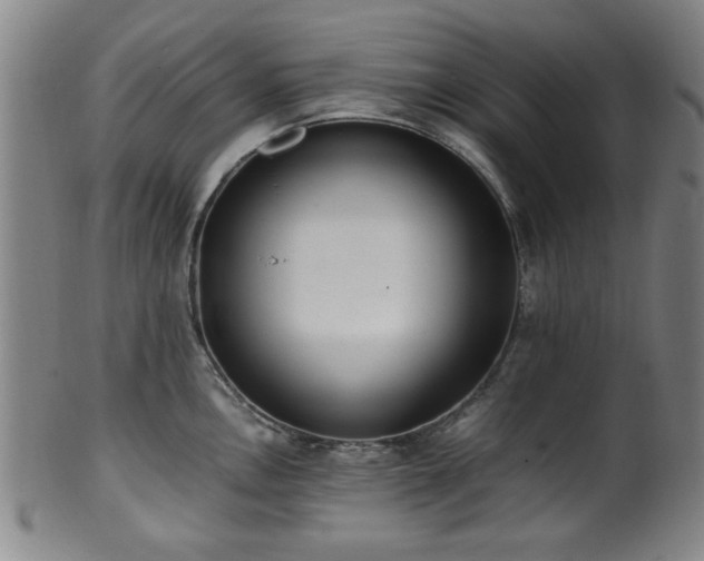 X0000100351146200806061108