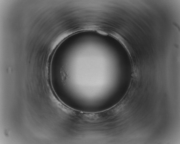 X0000100351147200806061108