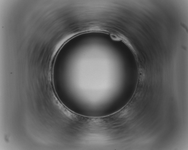 X0000100351148200806061108