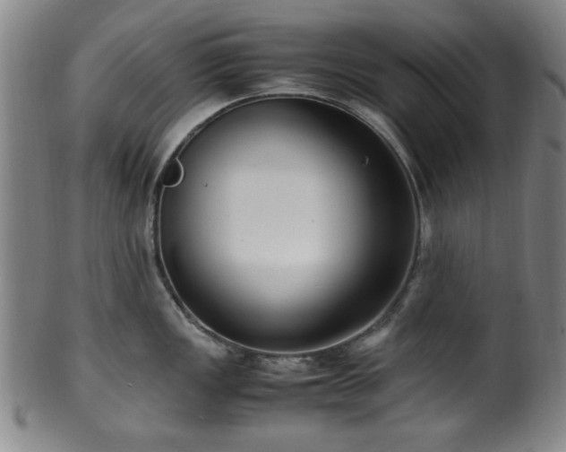 X0000100351149200806061108