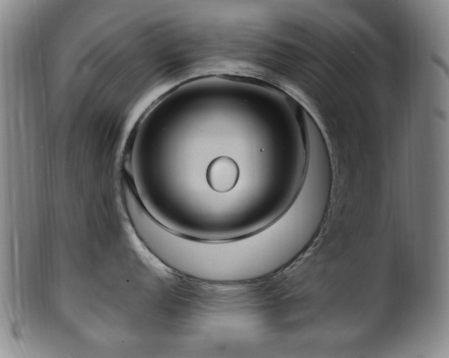 X0000100351152200806061108