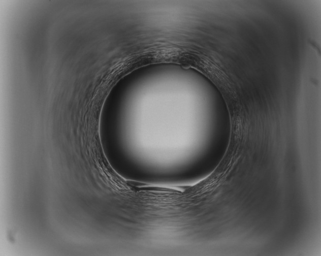 X0000100351153200806061108