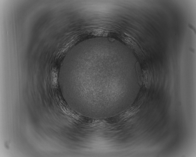X0000100351154200806061108