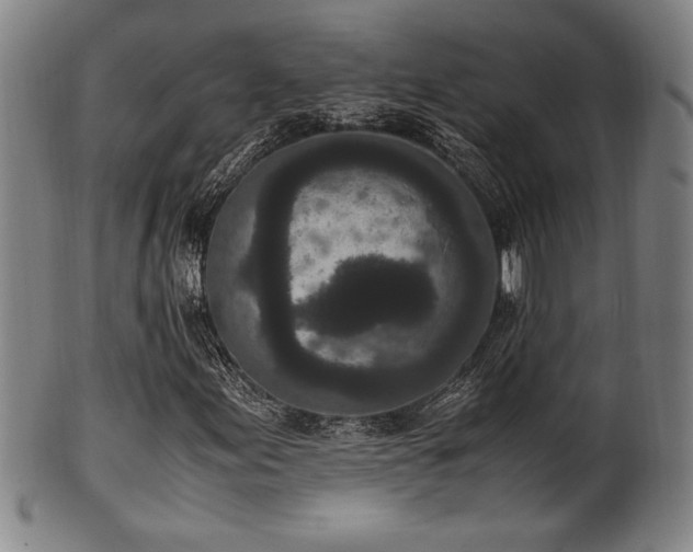 X0000100351155200806061108