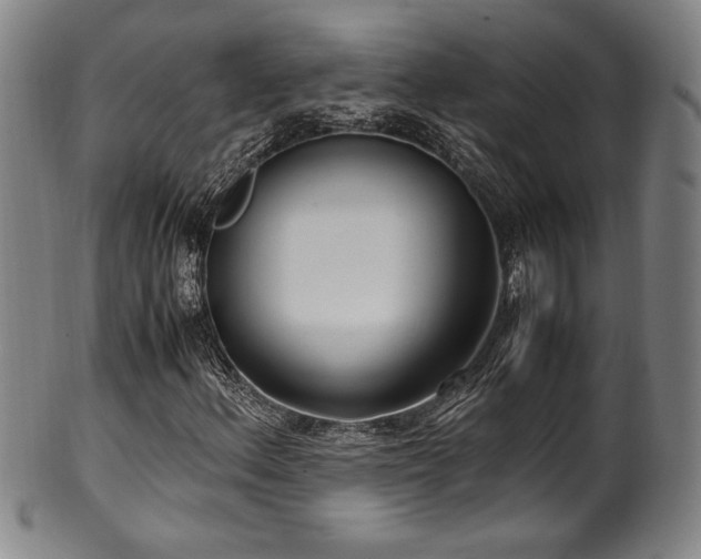 X0000100351156200806061108