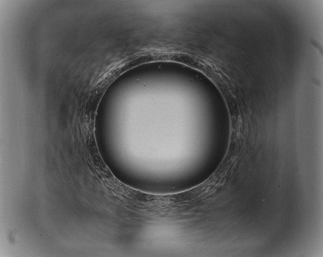 X0000100351157200806061108