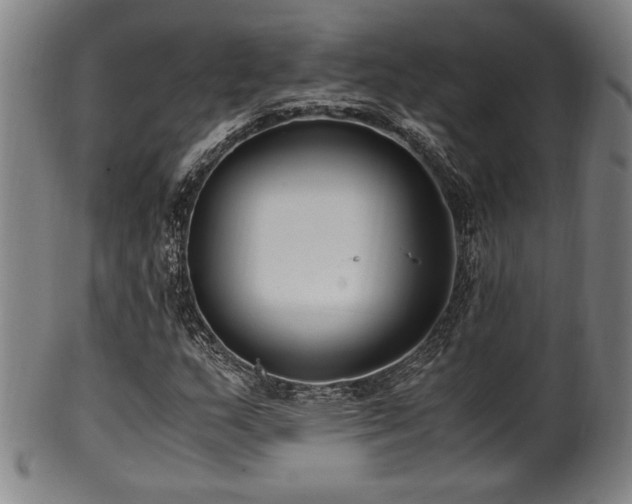 X0000100351159200806061108
