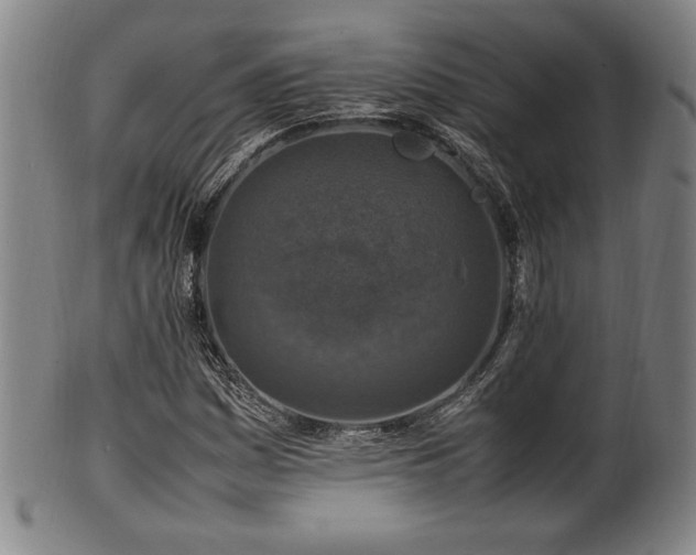 X0000100351161200806061108