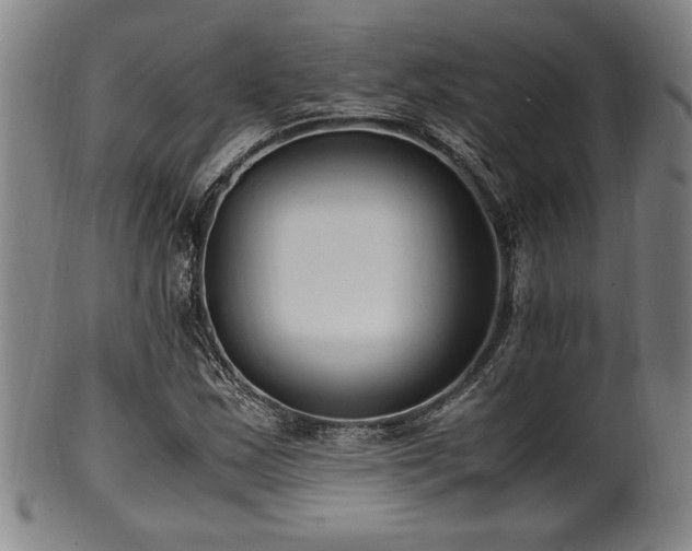 X0000100351163200806061107