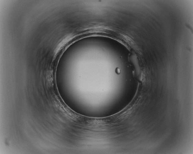 X0000100351164200806061107