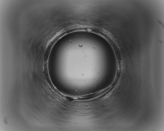 X0000100351165200806061107