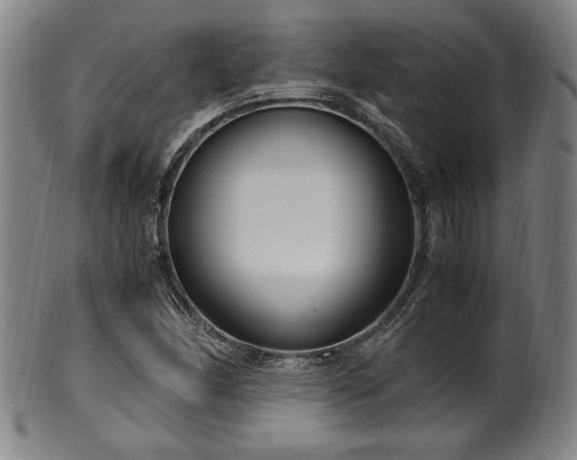 X0000100351166200806061107